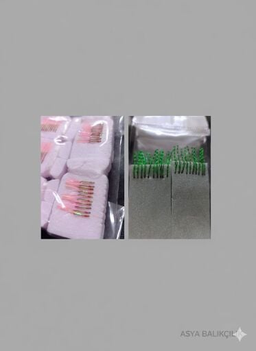 İstavrit Çaparileri