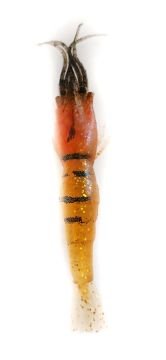 Captain 3060 Silikon Karides 9cm Suni Yem 5'li Paket