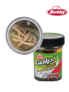 Berkley Gulp Alive 1'' Inc Minnow Silikon Yem Black Shad